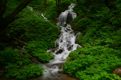 白骨温泉にて。