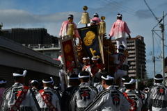 秋晴れに。