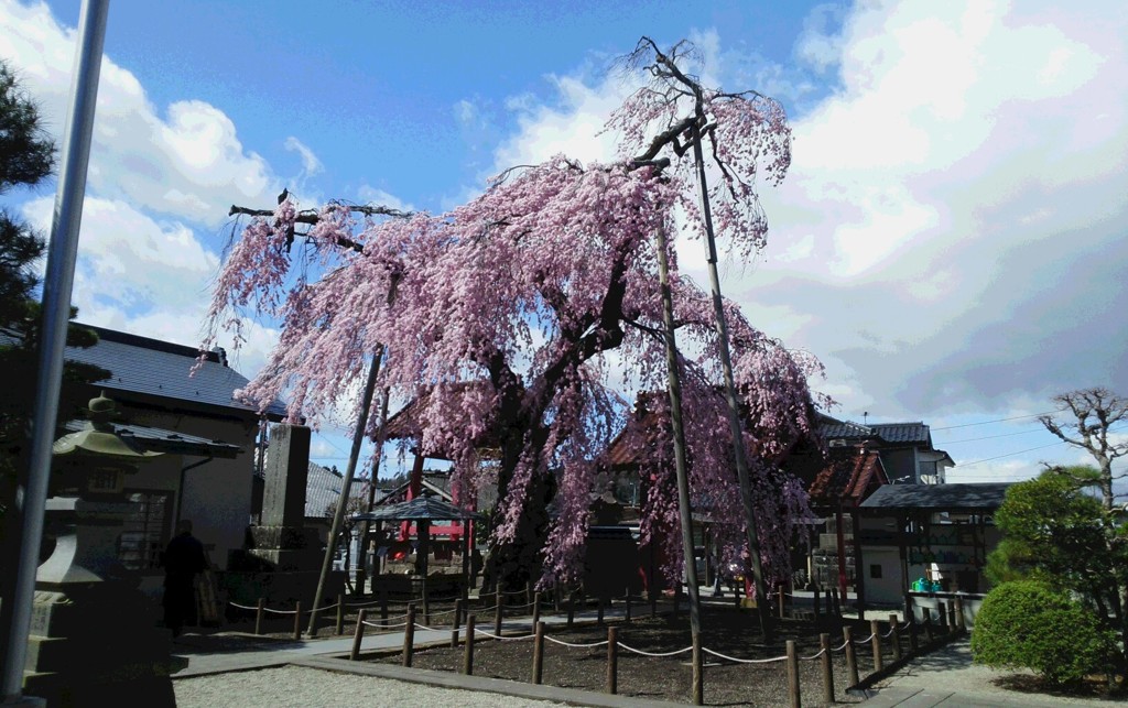 行ってみっぺ白河。