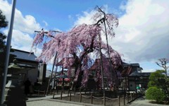 行ってみっぺ白河。
