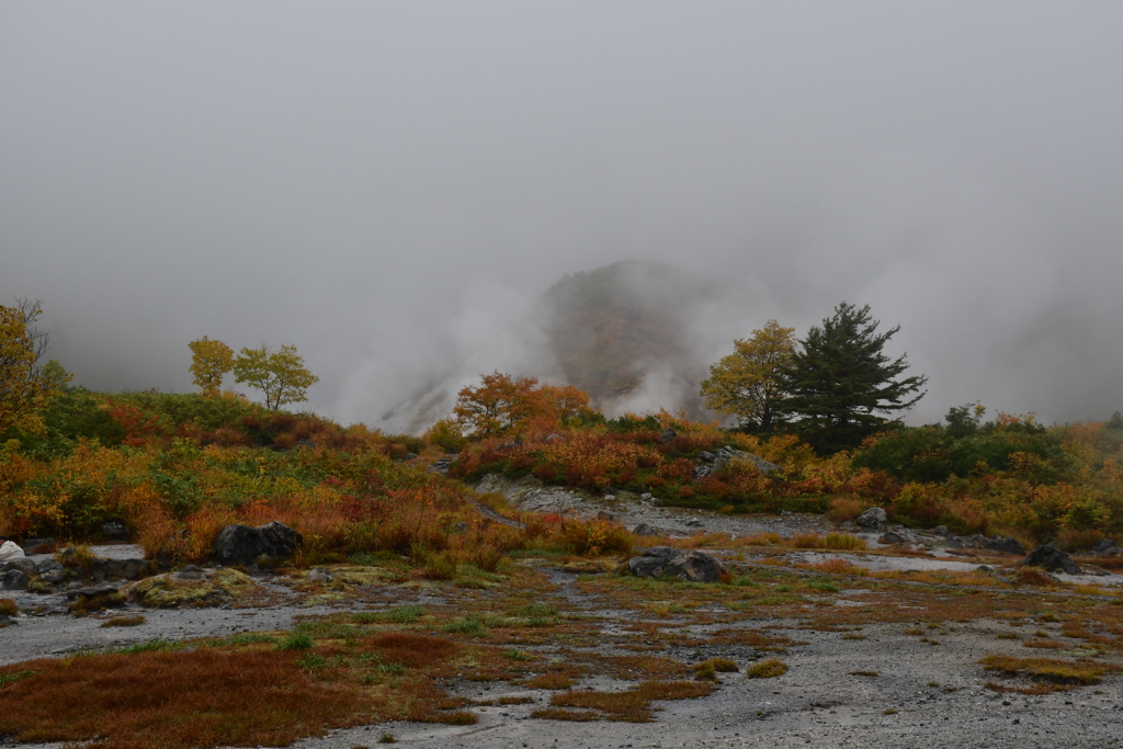 玉川温泉。