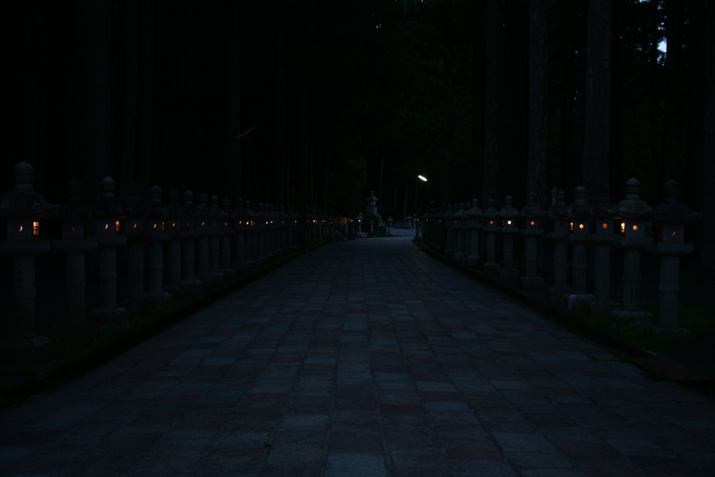 薄暮に燈る。