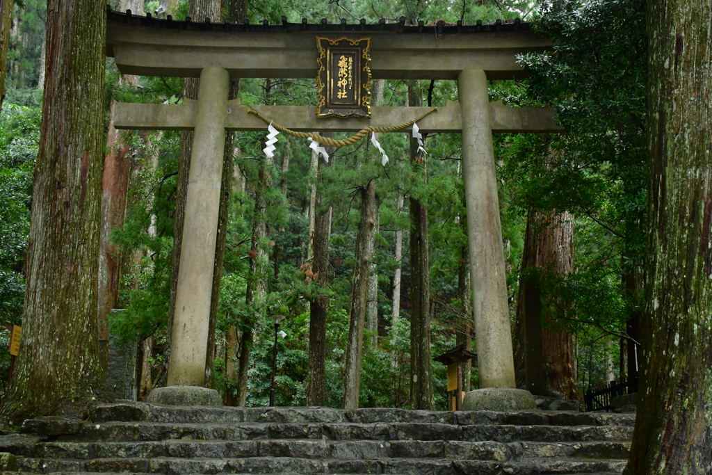 この先に・・・。