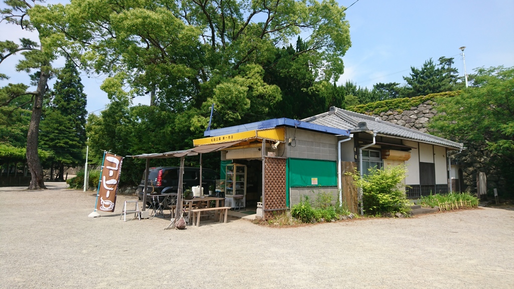 テレビで見た。