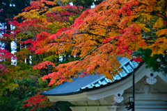 高野山満喫旅。