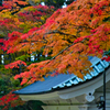 高野山満喫旅。