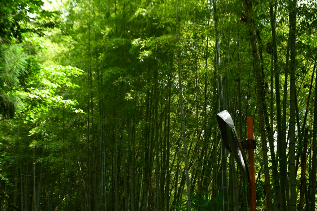 或る道の景。