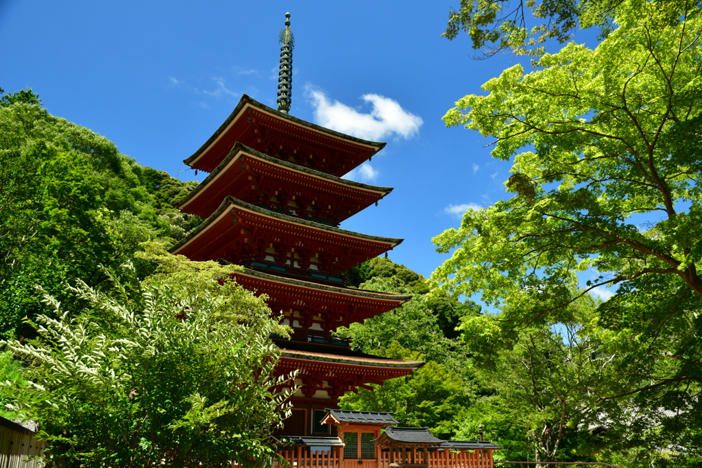 真言宗豊山派総本山。