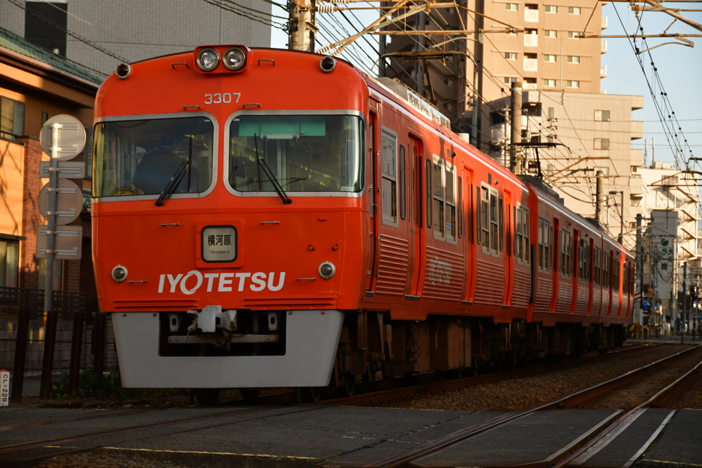 蜜柑な電車。