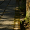 参道。