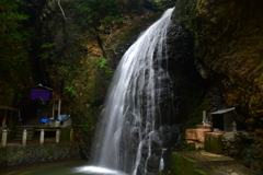 この気色を見たくて・・・。