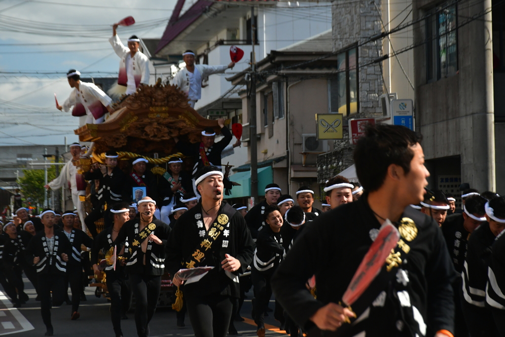 今年は・・・。