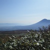 岩手山を臨んで。