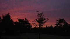 赤蜻蛉は何処！？