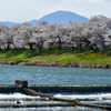 再訪の地。