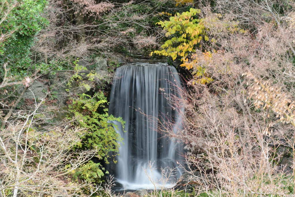 木道から。