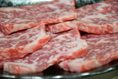 今日は。