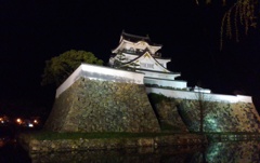 夜の岸和田城。