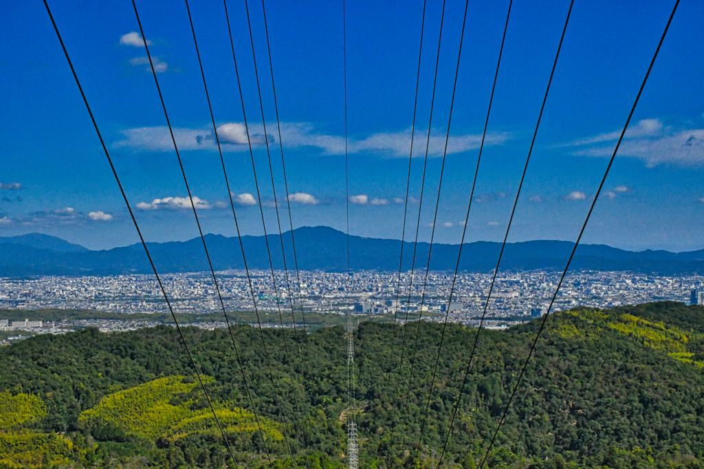 京都日和。
