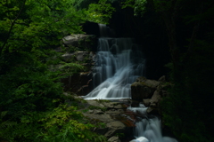 滝の情景。