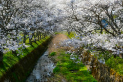 想い出に変わる時。