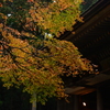 大分の国東から。