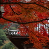 紅葉と甍。