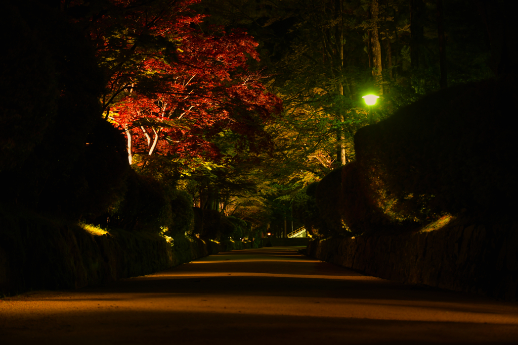 夜遊び。