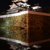 水面に映る。