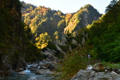 山の朝。