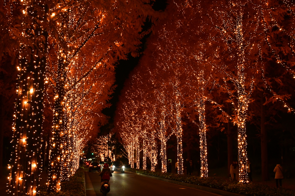 ロームな夜。