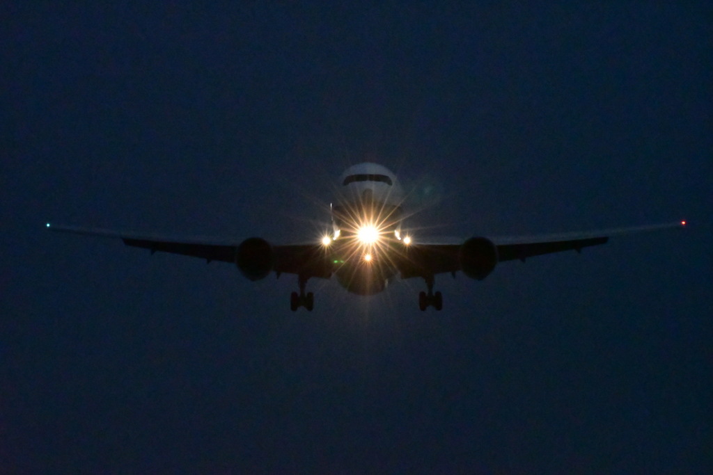 今日の大阪空港。