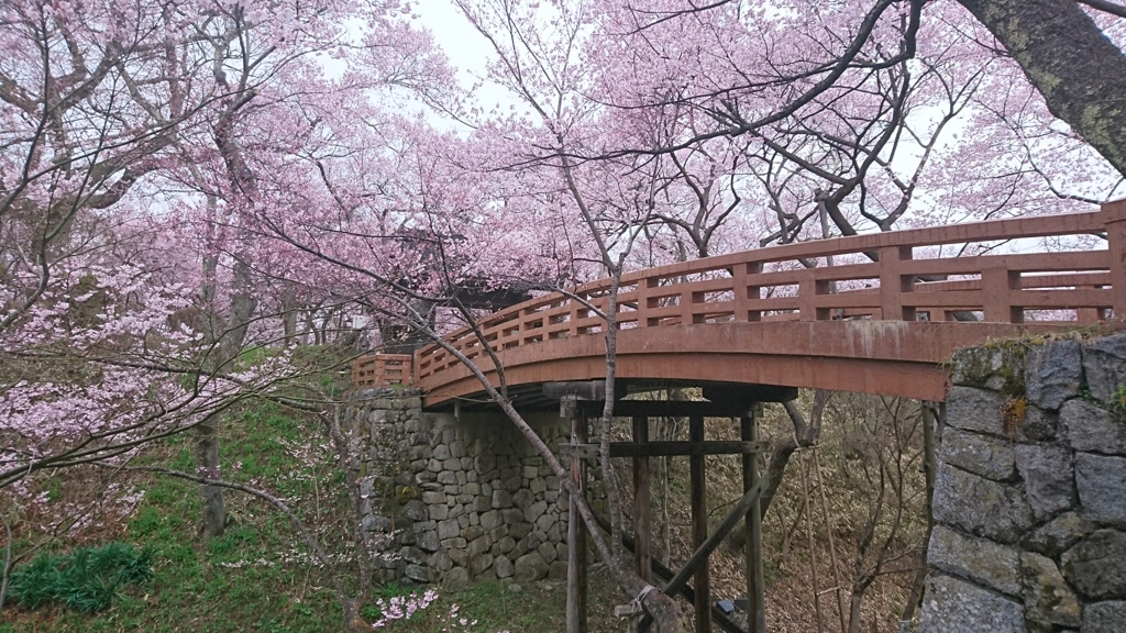 天下第一桜の名所。