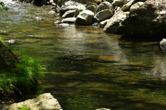水辺の景。