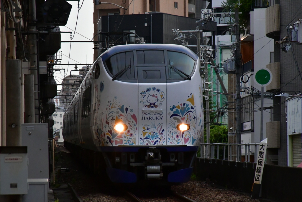 道往けば。