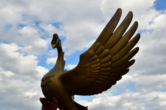 火の鳥。