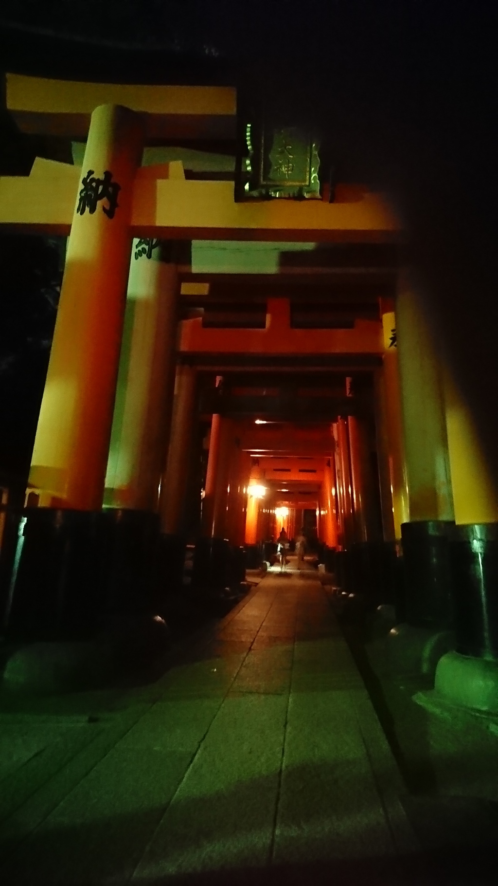 夜の千本鳥居。