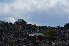 珍景。
