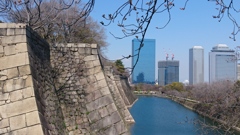 春日の大阪城。