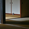 日本家屋。