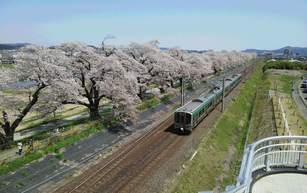 粋な列車。