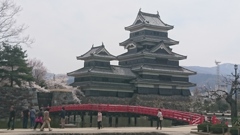桜の松本城。