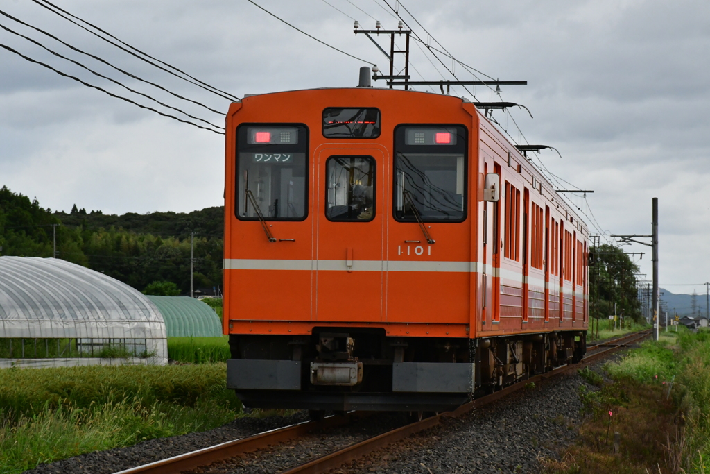 早起きは三文の徳。