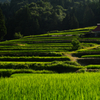 日本の原的風景。