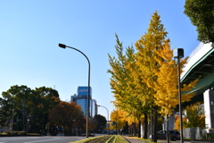 或る街の景観。