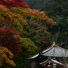 豊山派の秋。