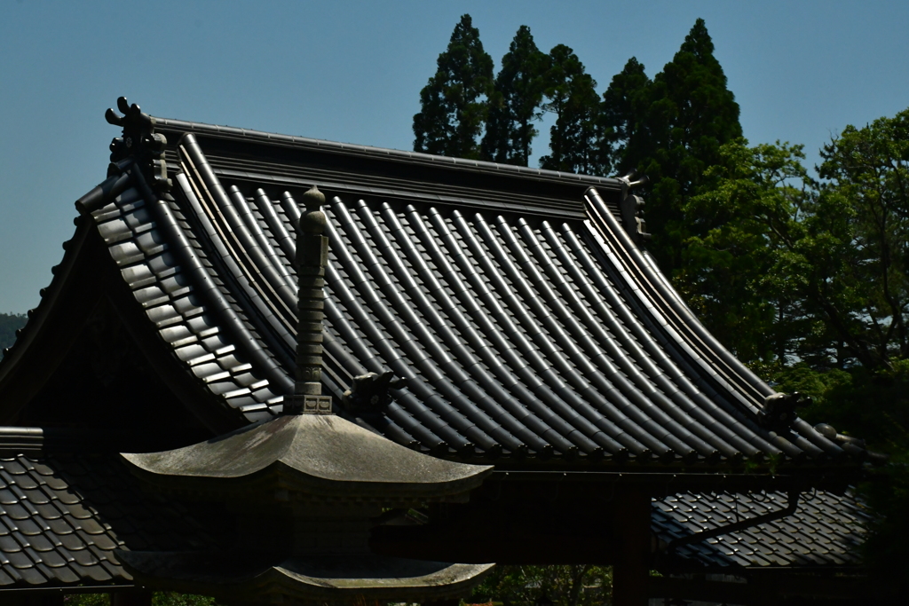 瓦の趣。