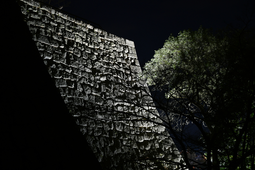 丸亀の夜。