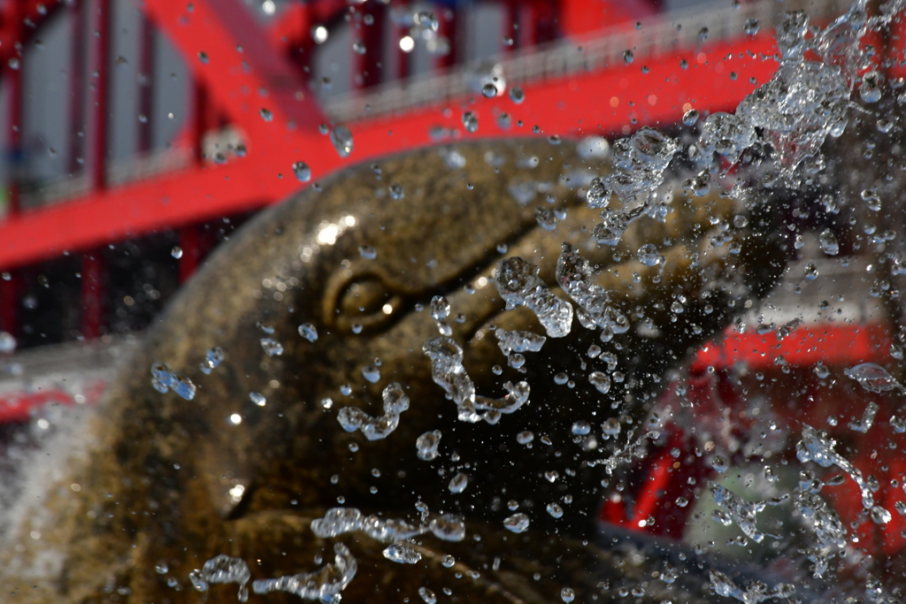 水のカタチ。