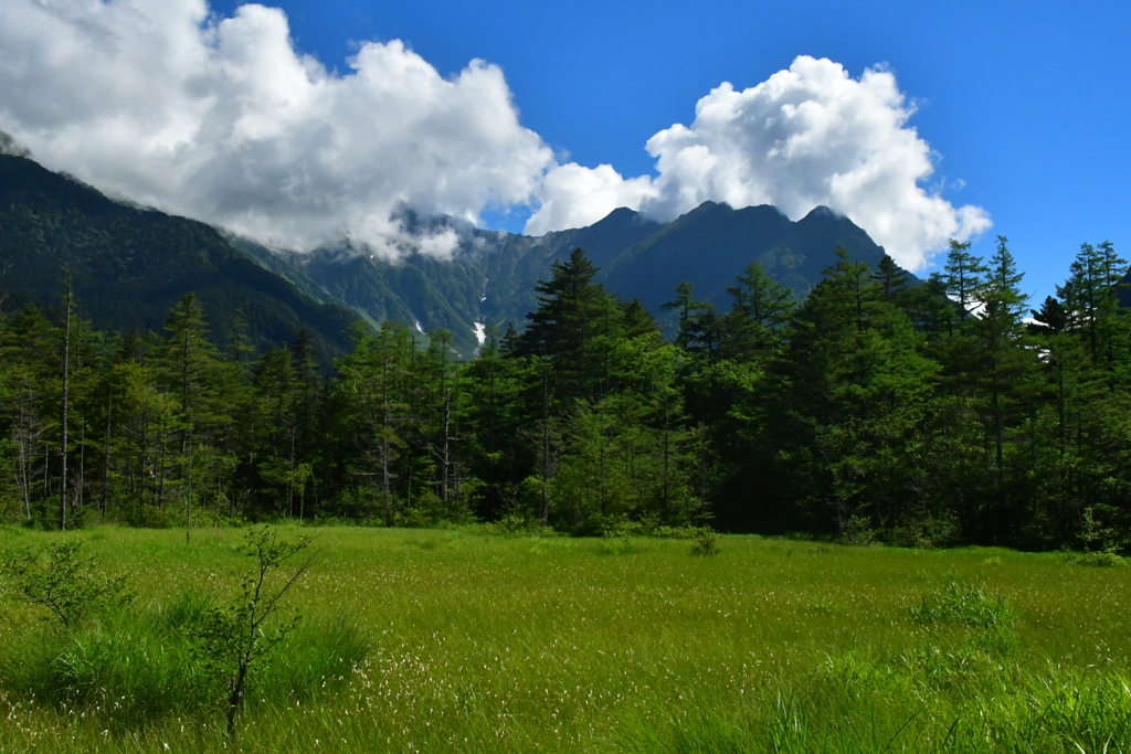 夏景色。